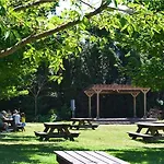 The Village Green 